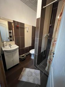 ein Badezimmer mit Dusche, Waschbecken und Toilette in der Unterkunft CASA ARIAN in Haţeg + 25 Fotos
