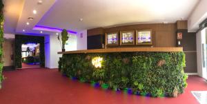 a large green wall in a room with a red floor at GOOD VIBES ONLY Capsule Hostel Malaga in Málaga
