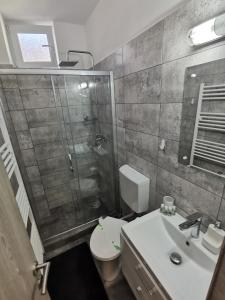 a bathroom with a shower and a toilet and a sink at Iris's apartament in Sinaia