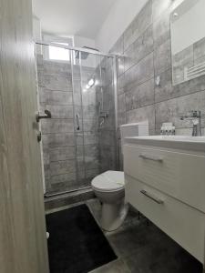 a bathroom with a toilet and a shower and a sink at Iris's apartament in Sinaia