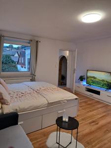 TV a/nebo společenská místnost v ubytování FeWo im Harz