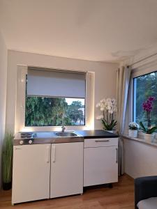 Kuchyň nebo kuchyňský kout v ubytování FeWo im Harz