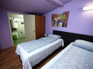 two beds in a bedroom with purple walls at Hostel Pascalis Alesd in Aleşd