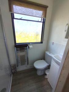 een badkamer met een wit toilet en een raam bij Peaceful ensuite lakeside cabin 'Tench' in Hadlow Down