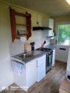 a kitchen with a sink and a stove top oven at Peaceful ensuite lakeside cabin 'Tench' in Hadlow Down