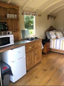 eine Küche mit einem Herd und einer Mikrowelle im Zimmer in der Unterkunft Charming tranquil Shepherds Hut with lakeside balcony 'Roach' in Uckfield