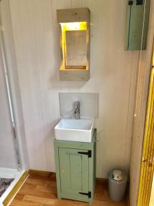 a small bathroom with a sink and a mirror at Charming tranquil Shepherds Hut with lakeside balcony 'Roach' in Uckfield