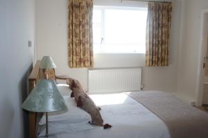 Voodi või voodid majutusasutuse Roundstone House Hotel toas