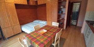 Kuchyň nebo kuchyňský kout v ubytování Anne apartman Siófok