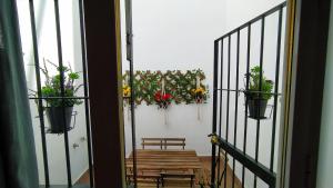 塞維利亞的住宿－Bonito piso en calle Antolinez，阳台配有桌子,墙上挂着盆栽植物