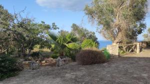 einen Garten mit einem Zaun, Bäumen und dem Meer in der Unterkunft Casa Borea in Andrano