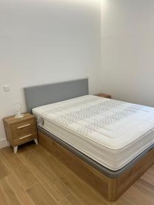 a bedroom with a bed and a night stand at Exyca Bernabéu in Madrid