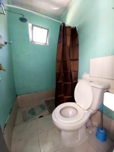ein Bad mit einem WC und einer Dusche in der Unterkunft Comfy House 5 mins to Bole Airport in Addis Abeba