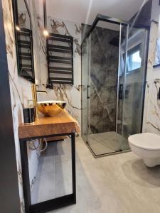 W łazience znajduje się prysznic, umywalka i toaleta. w obiekcie LoveLake dom z jacuzzi w mieście Radzyń