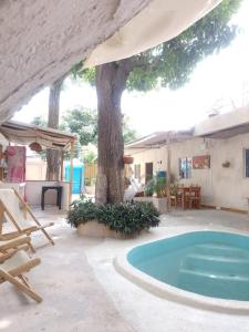 un patio avec un arbre et une piscine dans l'établissement Hostel Santa Marta el Rodadero, à Santa Marta