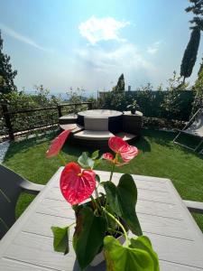 une table avec un vase et des fleurs rouges sur elle dans l'établissement Camping Village Panoramico Fiesole, à Fiesole