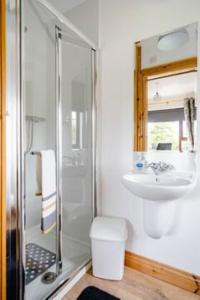 a bathroom with a shower and a toilet and a sink at Arley House B & B in Dundrum