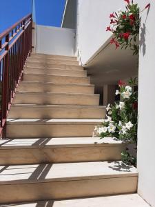 eine Treppe mit Blumen drauf in der Unterkunft Appartamento a pochi passi dal mare in Porto Cesareo