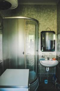 ein Bad mit einer Dusche und einem Waschbecken in der Unterkunft Rent a house Duzi - Savnik in Šavnik