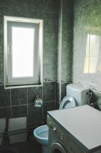ein Bad mit einem WC und einem Fenster in der Unterkunft Rent a house Duzi - Savnik in Šavnik