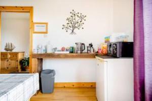 a kitchen with a counter top and a microwave at Arley House B & B in Dundrum