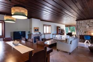 uma sala de estar com um sofá e uma lareira em Feel Discovery Maçã Douro em Armamar