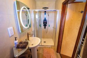 a small bathroom with a shower and a sink at Ferndale Luxury Boutique Bed & Breakfast in Keel +34 photos