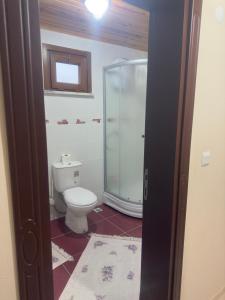 a bathroom with a toilet and a glass shower at BULUTLU DAĞ EVİ 