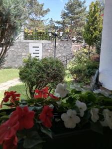 un jardín con flores rojas y blancas frente a una puerta en Villa Bozovic, en Zlatibor