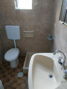 La petite salle de bains est pourvue de toilettes et d'un lavabo. dans l'établissement Εξοχική Κατοικία - Αγιόκαμπος, à Loutra Edipsou