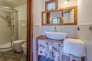 a bathroom with a sink and a toilet and a mirror at Baita Margherita - Val Veny in Courmayeur