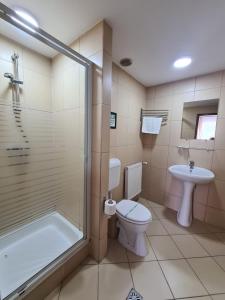y baño con ducha, aseo y lavamanos. en Vila Vitalis, en Predeal