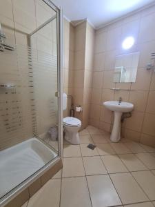 a bathroom with a shower and a toilet and a sink at Vila Vitalis in Predeal