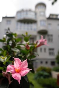 Vonkajšia záhrada v ubytovaní Hotel Arcus Garden