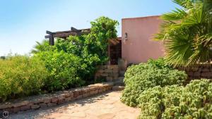 una casa con una pared de retención y plantas en Dammusi Barone, en Pantelleria