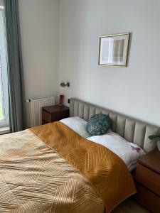 Posteľ alebo postele v izbe v ubytovaní Apartament No. 26 Nad Iławką