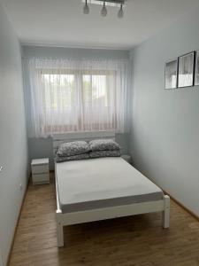 a bedroom with a bed and a window at Beztroski Zakątek in Nowe Guty