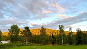 a view of a lake with trees in the background at Vanha Koulu in Suolahti