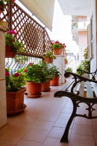 a balcony with potted plants and a bench at B&B Villa Susanna in Civitavecchia