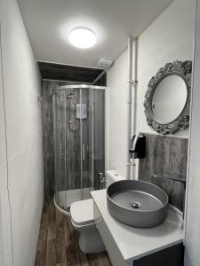 a bathroom with a sink and a toilet and a mirror at Ensuite Double Room, by Swansea University, Sketty, R2 in Swansea