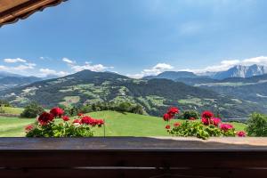 una ventana con vistas a las montañas y flores en HAUSERHOF - Urlaub auf dem Bauernhof in Villanders mit einzigartigem Ausblick in die Dolomiten, en Villandro