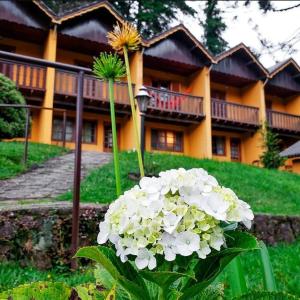 a large building with a flower in front of it at Pousada Sonho Verde in Monte Verde
