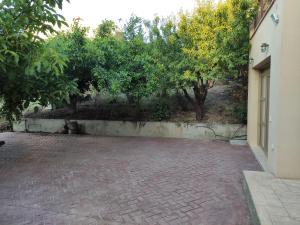Foto dalla galleria di Under the trees a Heraklion