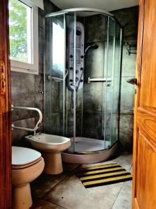 La salle de bains est pourvue d'une douche, de toilettes et d'un lavabo. dans l'établissement Puerto Esmeralda ESPECTACULAR DEPTO CON VISTA AL LAGO NAHUEL HUAPI, à Villa La Angostura