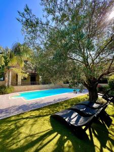 una piscina con un árbol en un patio en Valencia Grove Villa en Miliou
