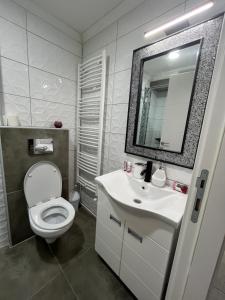 un bagno con un water, un lavandino e uno specchio di Apartman Jovana 2 a Sremska Mitrovica