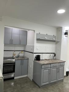 una cucina con armadi grigi, lavandino e piano cottura di Apartman Jovana 2 a Sremska Mitrovica Altre 8 foto