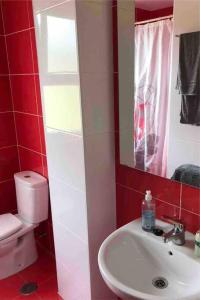 ein Badezimmer mit einem weißen Waschbecken und einer Toilette in der Unterkunft Precioso Ático con parking privado. Vistas al Río in Limpias