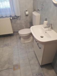 łazienka z toaletą i umywalką w obiekcie Virágos Vendégház Balatonfüred w Balatonfüred +37 zdjęć