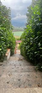Fotografie z fotogalerie ubytování Villa Blanca Constanza v destinaci Constanza